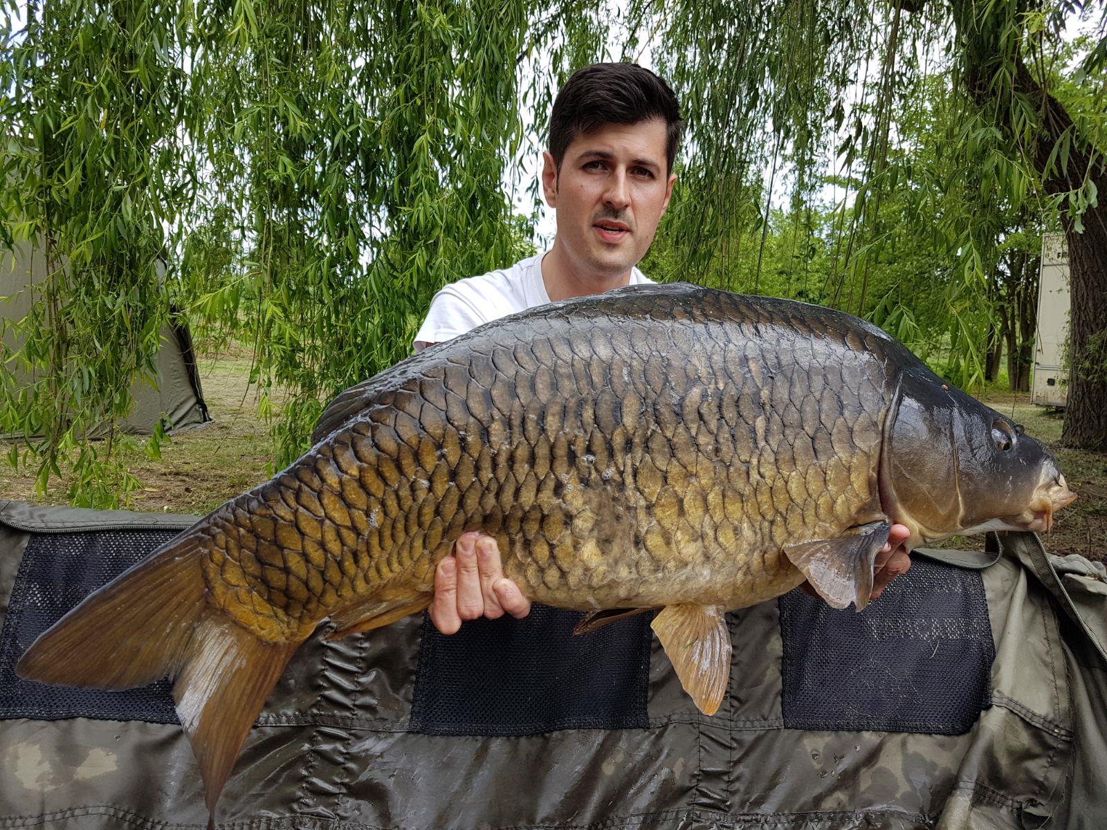 Tancabesti 11 - 13 mai. - 15 kg